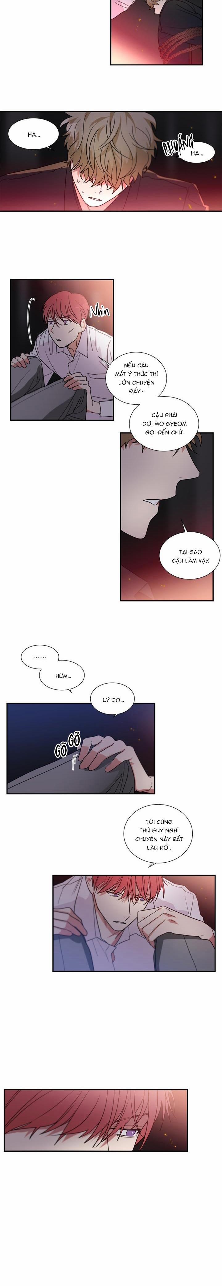 Mâu thuẫn và tương phản 42 trang 8