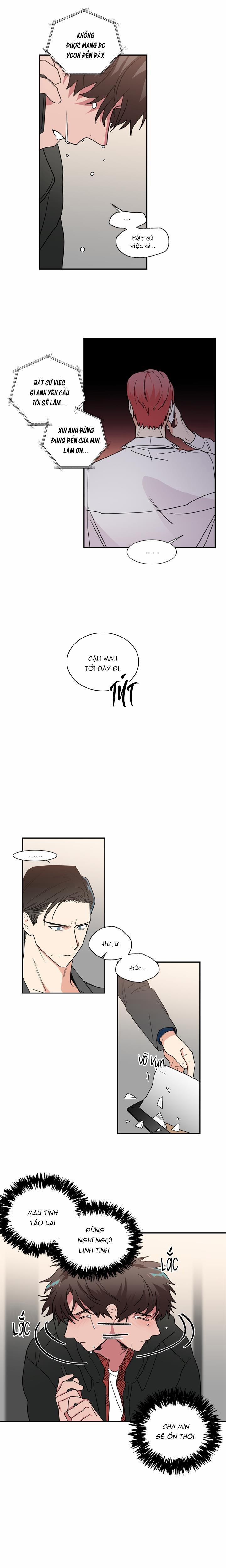 Mâu thuẫn và tương phản 43 trang 8