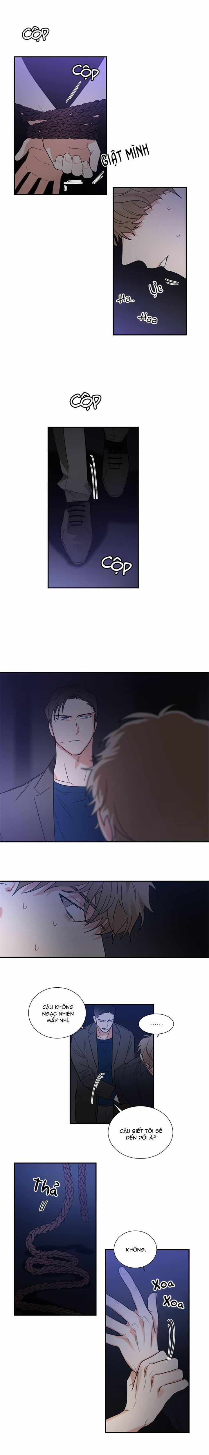 Mâu thuẫn và tương phản 45 trang 5