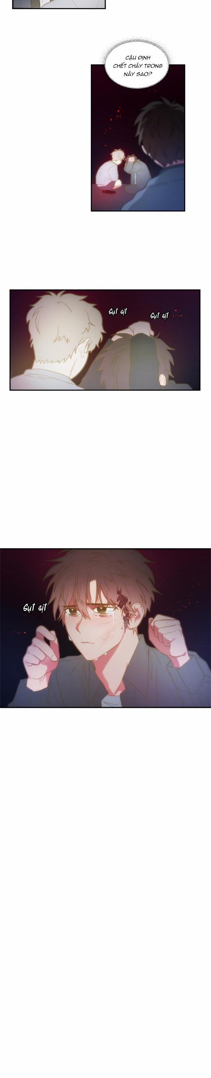 Mâu thuẫn và tương phản 46 trang 8