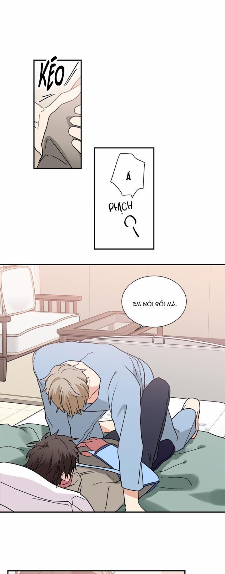 Mâu thuẫn và tương phản 48 trang 12