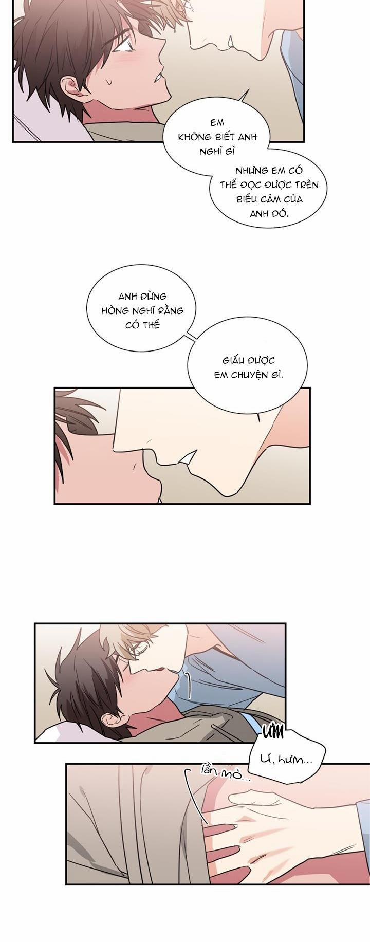 Mâu thuẫn và tương phản 48 trang 13