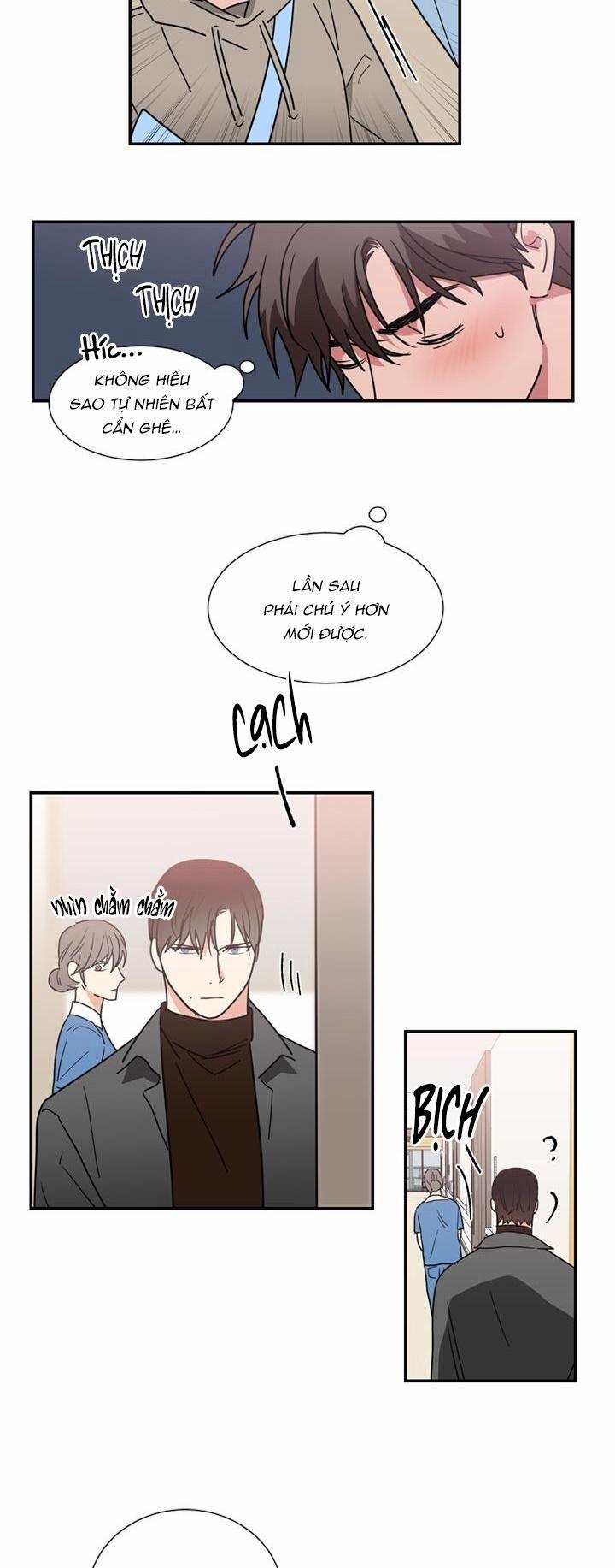 Mâu thuẫn và tương phản 48 trang 15