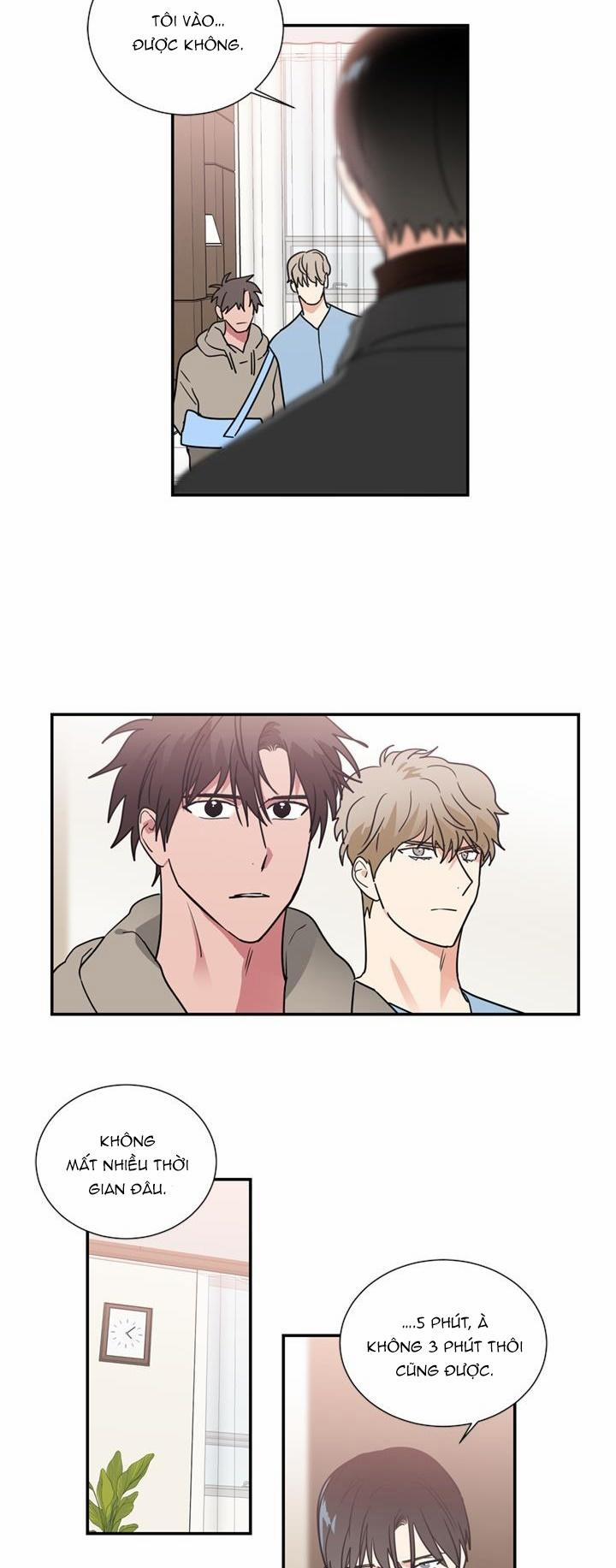 Mâu thuẫn và tương phản 48 trang 16