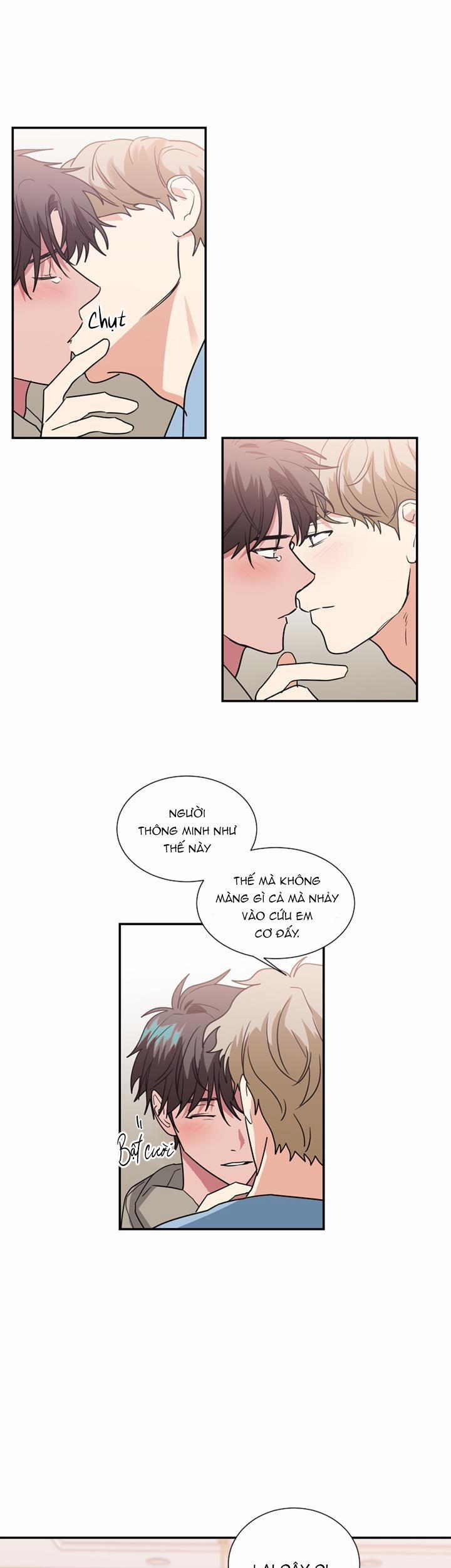 Mâu thuẫn và tương phản 48 trang 4