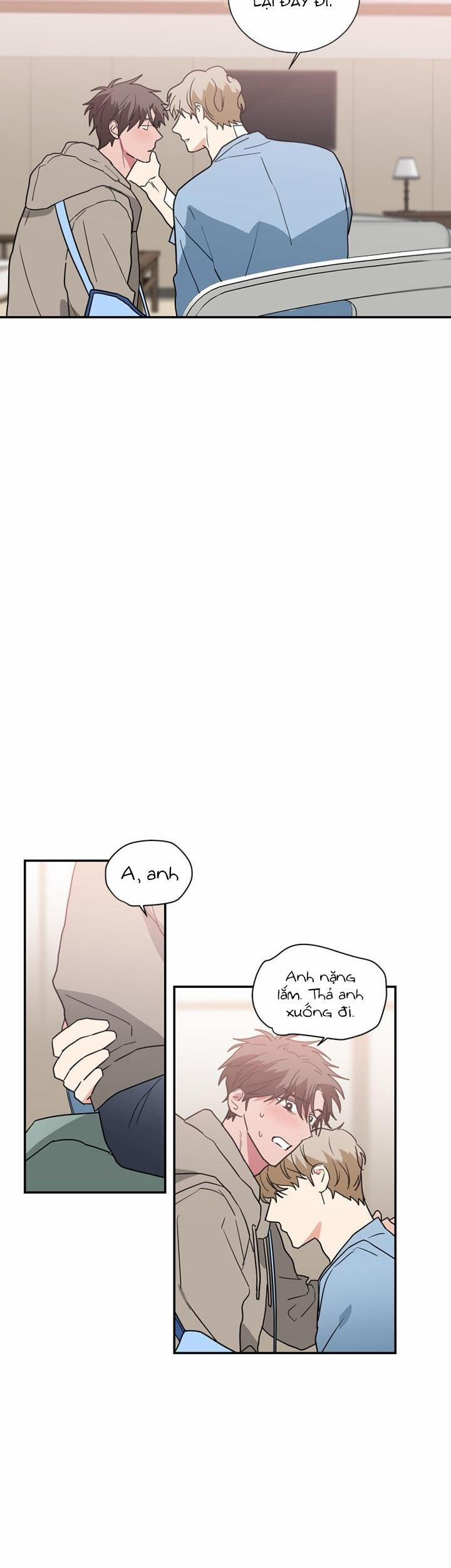 Mâu thuẫn và tương phản 48 trang 5