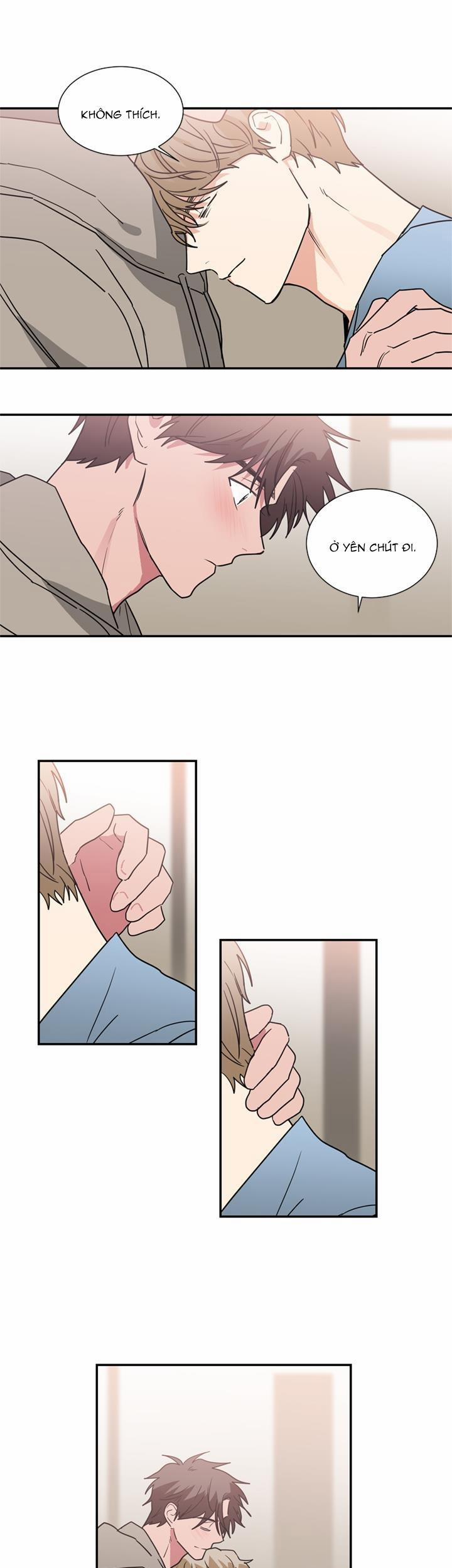 Mâu thuẫn và tương phản 48 trang 6