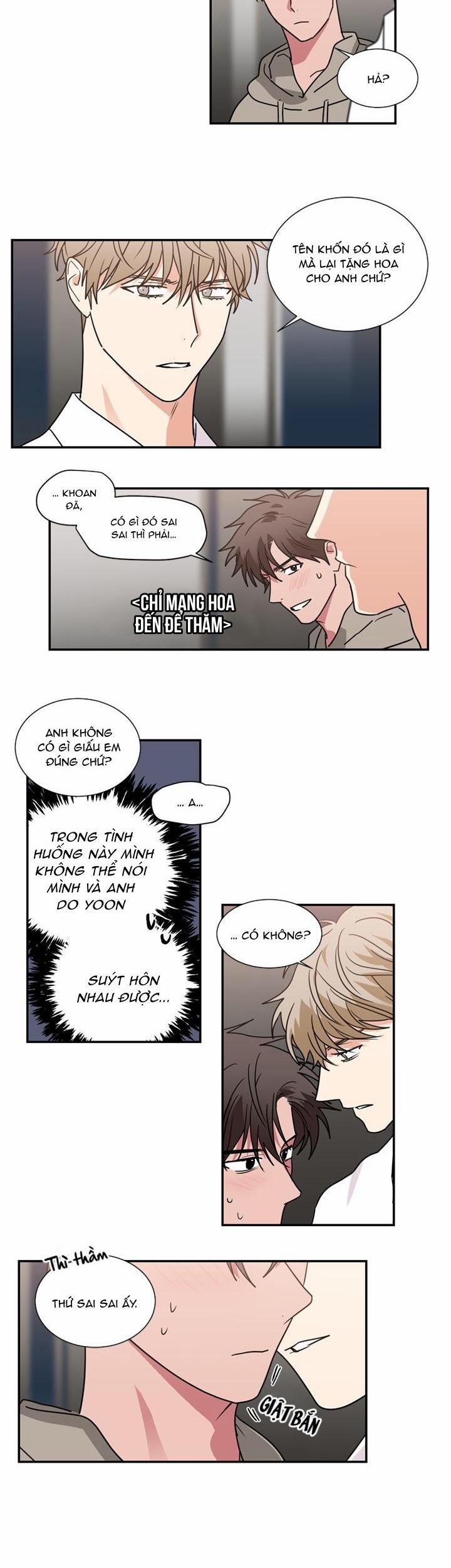 Mâu thuẫn và tương phản 49 trang 11