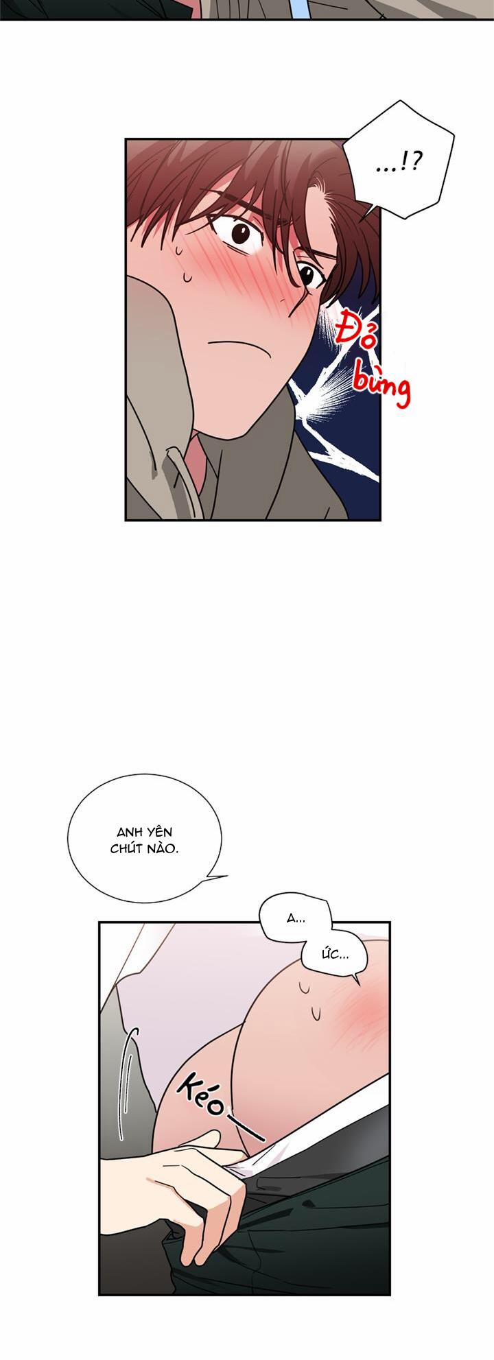 Mâu thuẫn và tương phản 49 trang 13