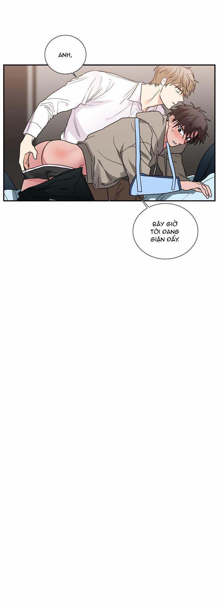 Mâu thuẫn và tương phản 49 trang 14