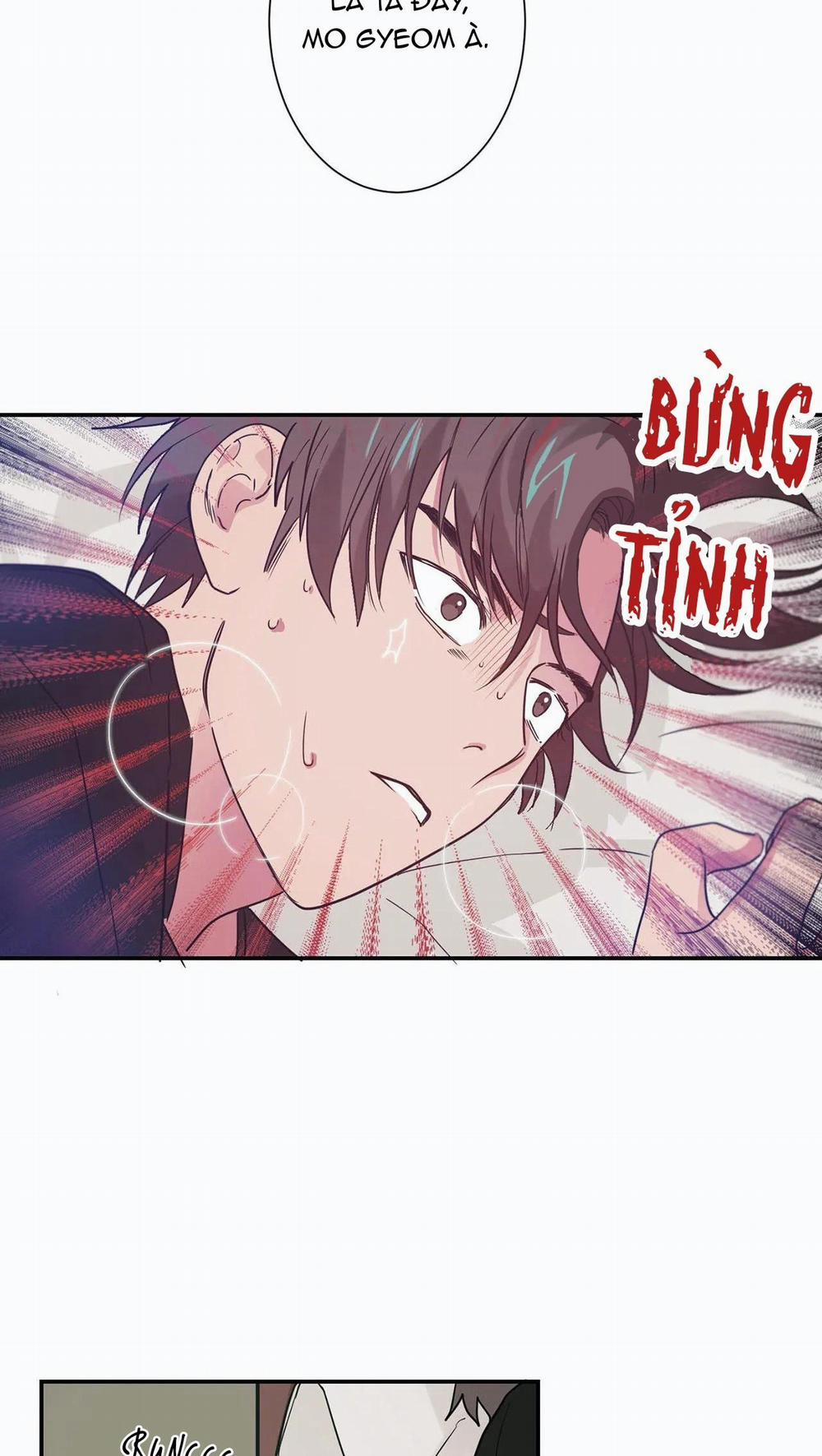 Mâu thuẫn và tương phản 5 trang 25