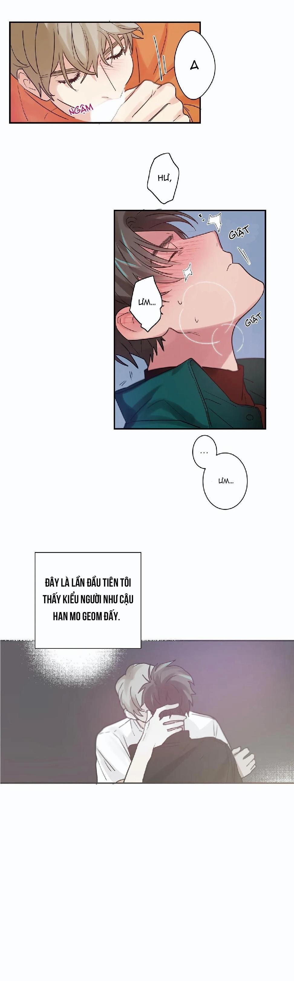 Mâu thuẫn và tương phản 5 trang 4