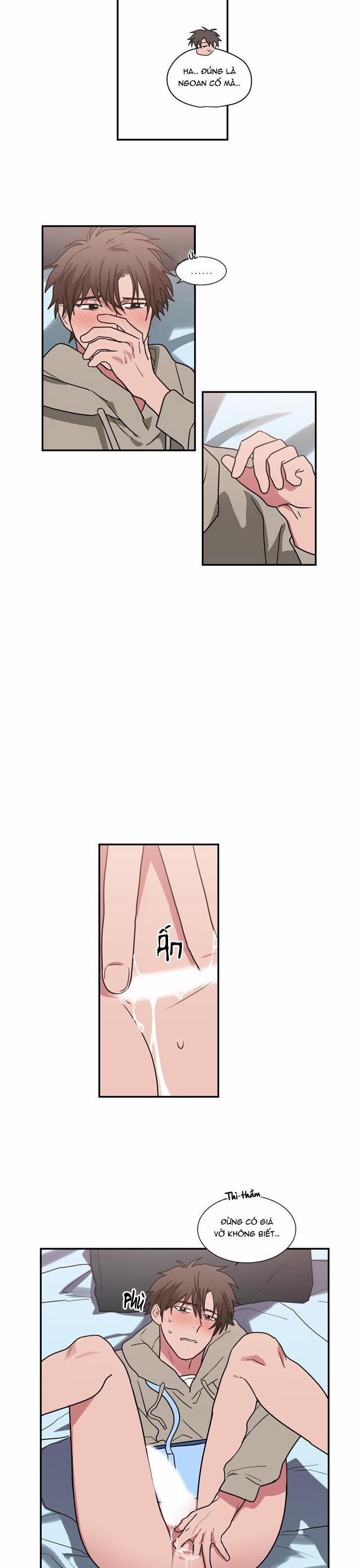 Mâu thuẫn và tương phản 50 trang 6