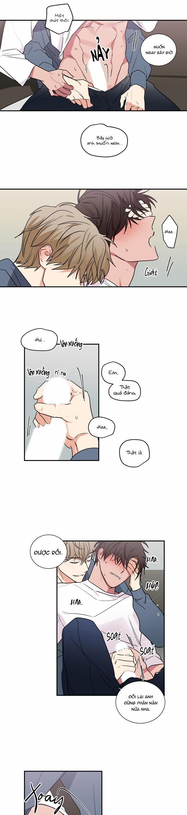 Mâu thuẫn và tương phản 51 trang 15