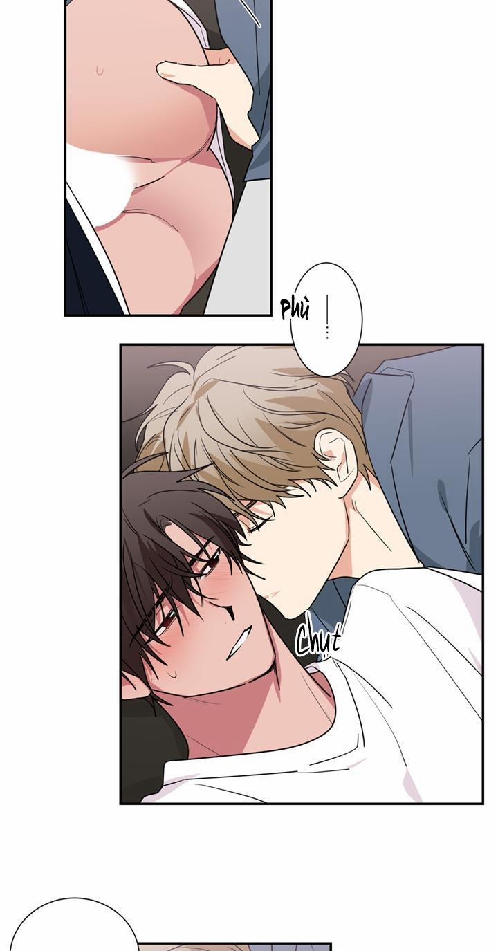 Mâu thuẫn và tương phản 51 trang 16