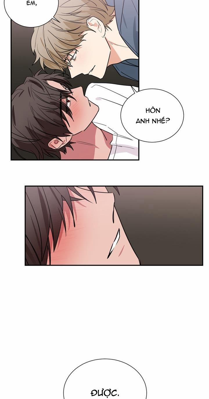 Mâu thuẫn và tương phản 51 trang 17