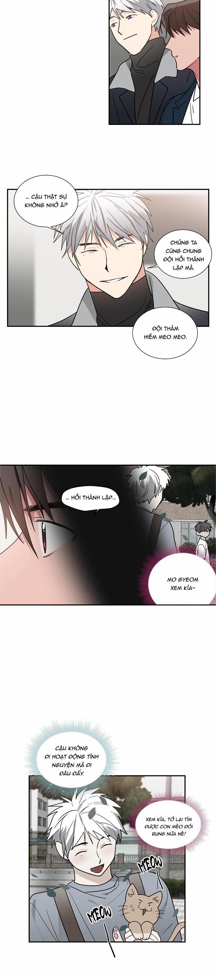 Mâu thuẫn và tương phản 53 trang 15