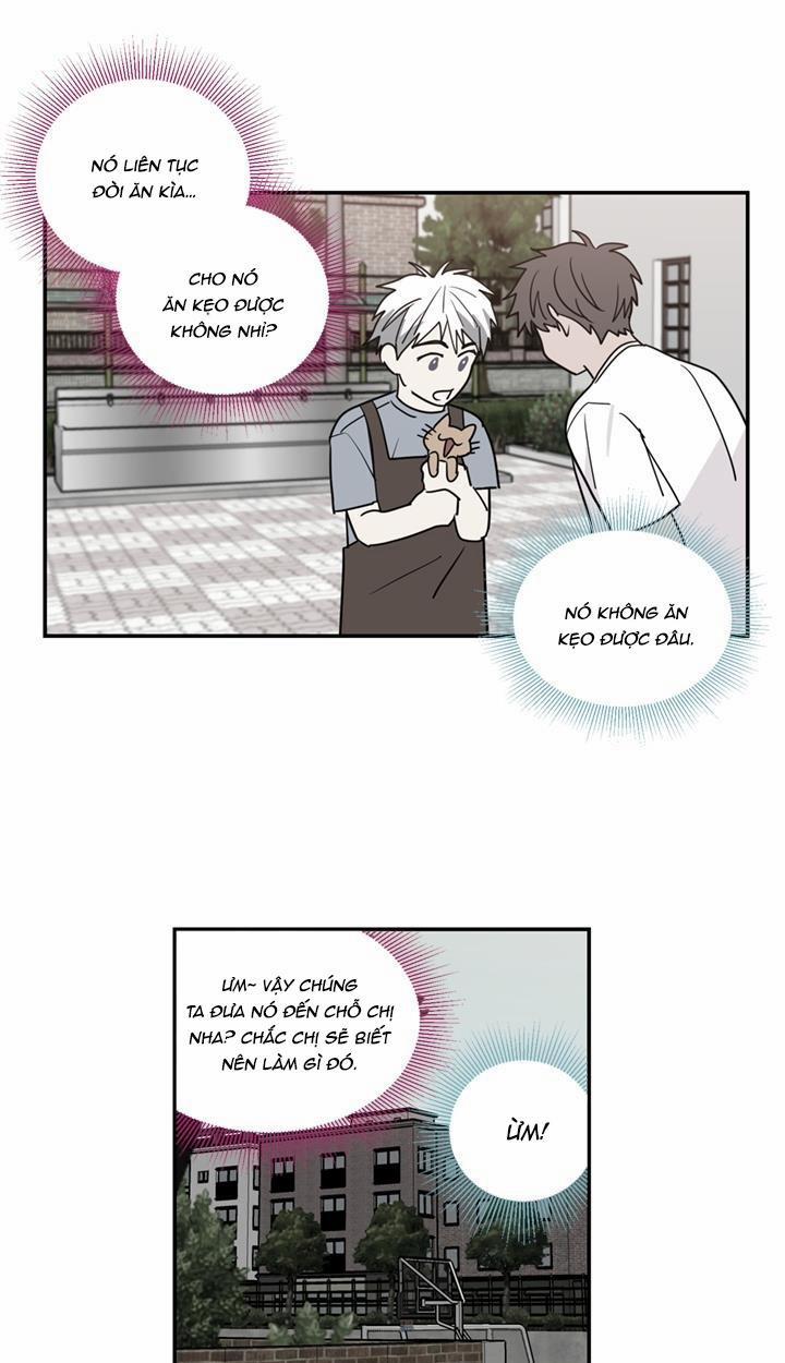 Mâu thuẫn và tương phản 53 trang 16