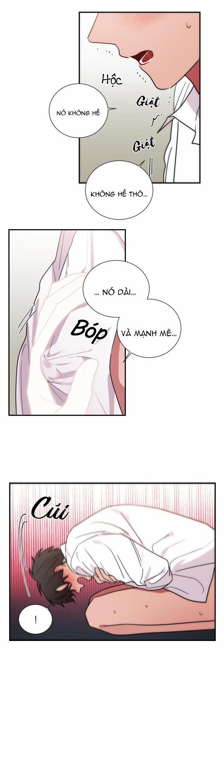 Mâu thuẫn và tương phản 55 trang 13