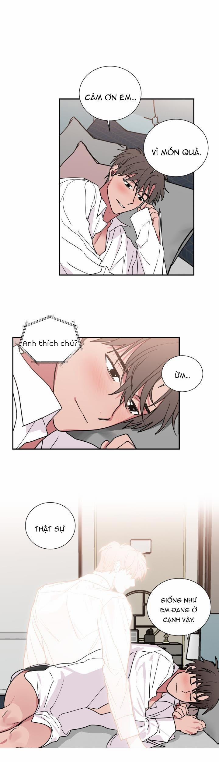 Mâu thuẫn và tương phản 55 trang 5