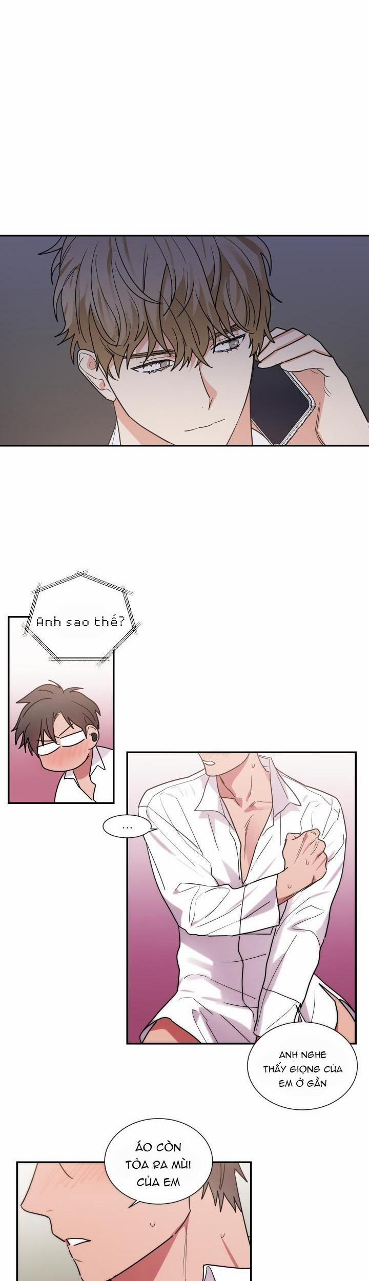 Mâu thuẫn và tương phản 55 trang 8