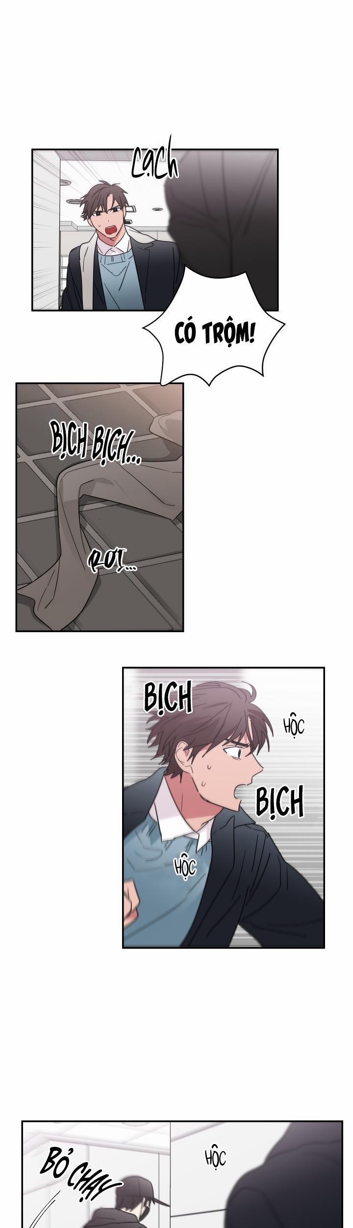 Mâu thuẫn và tương phản 56 trang 12