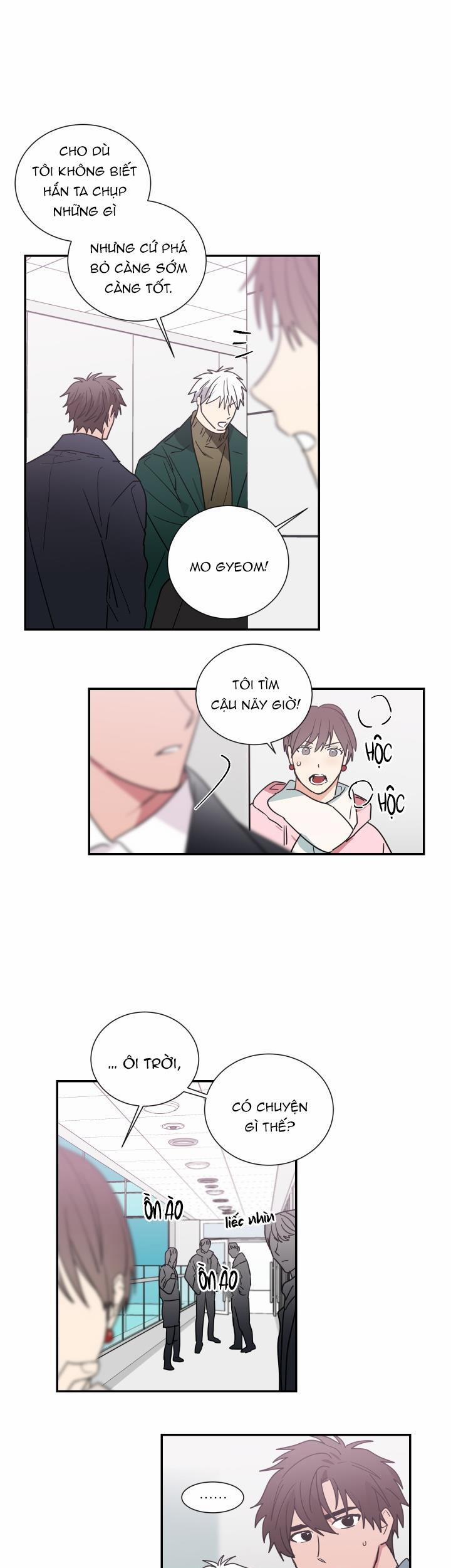 Mâu thuẫn và tương phản 56 trang 16