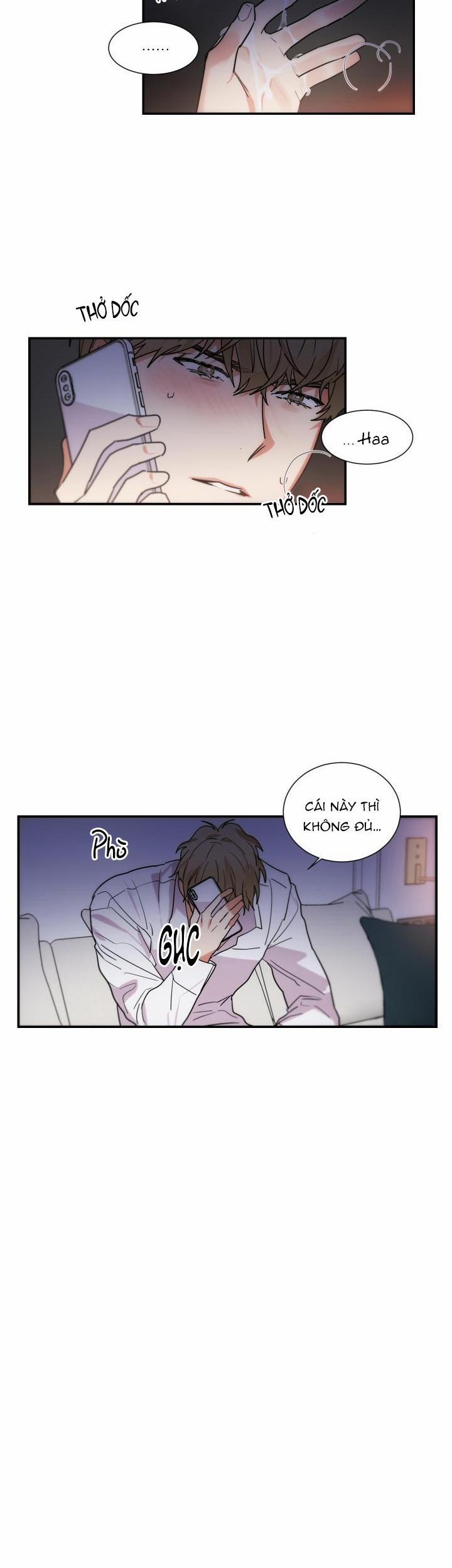 Mâu thuẫn và tương phản 56 trang 5