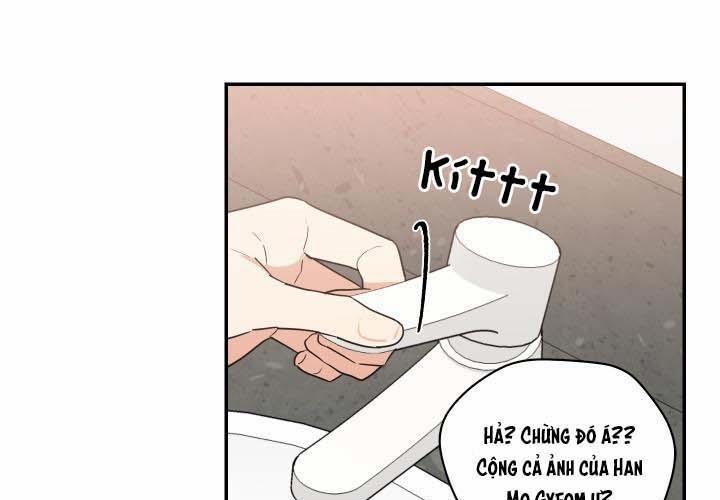 Mâu thuẫn và tương phản 59 trang 50