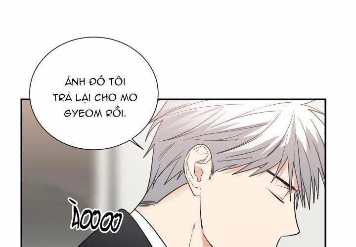 Mâu thuẫn và tương phản 59 trang 52