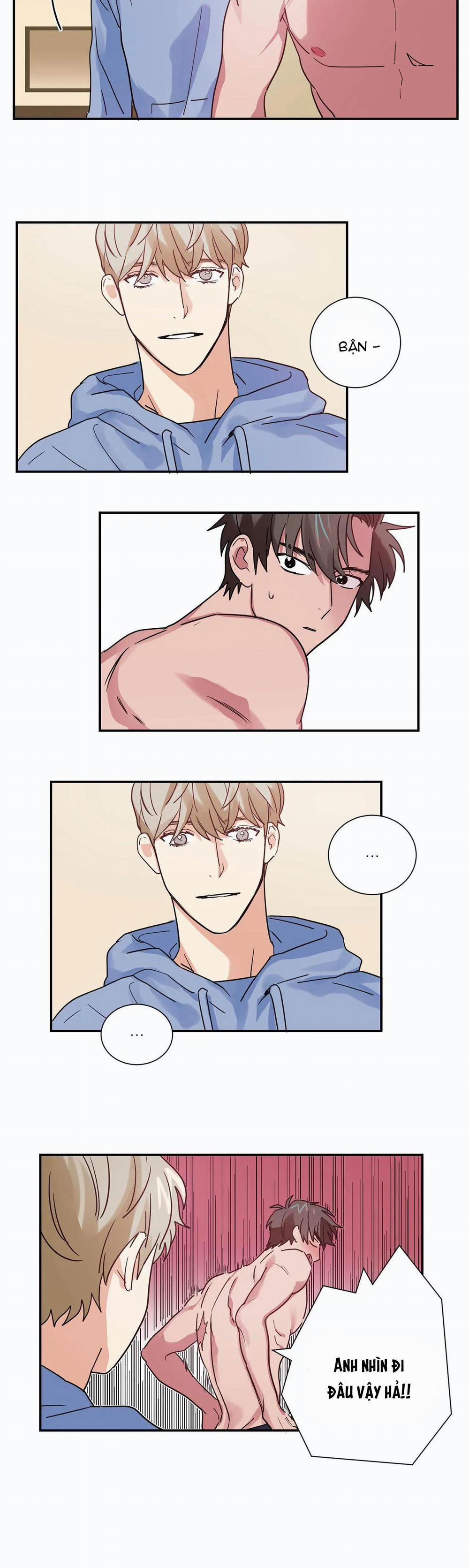 Mâu thuẫn và tương phản 6 trang 5