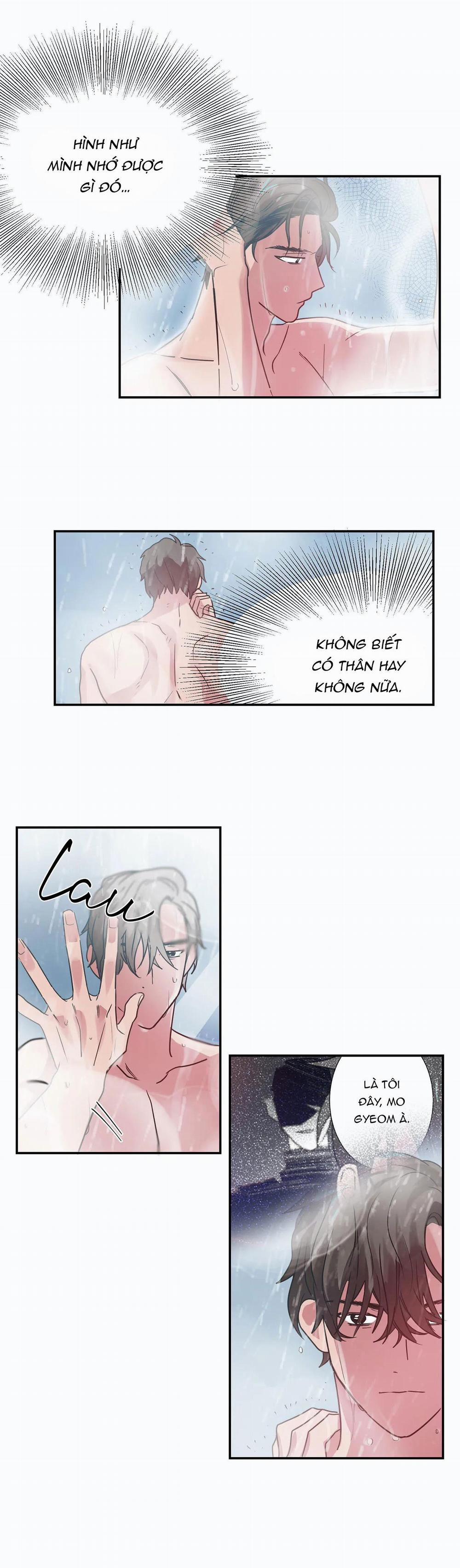 Mâu thuẫn và tương phản 6 trang 8