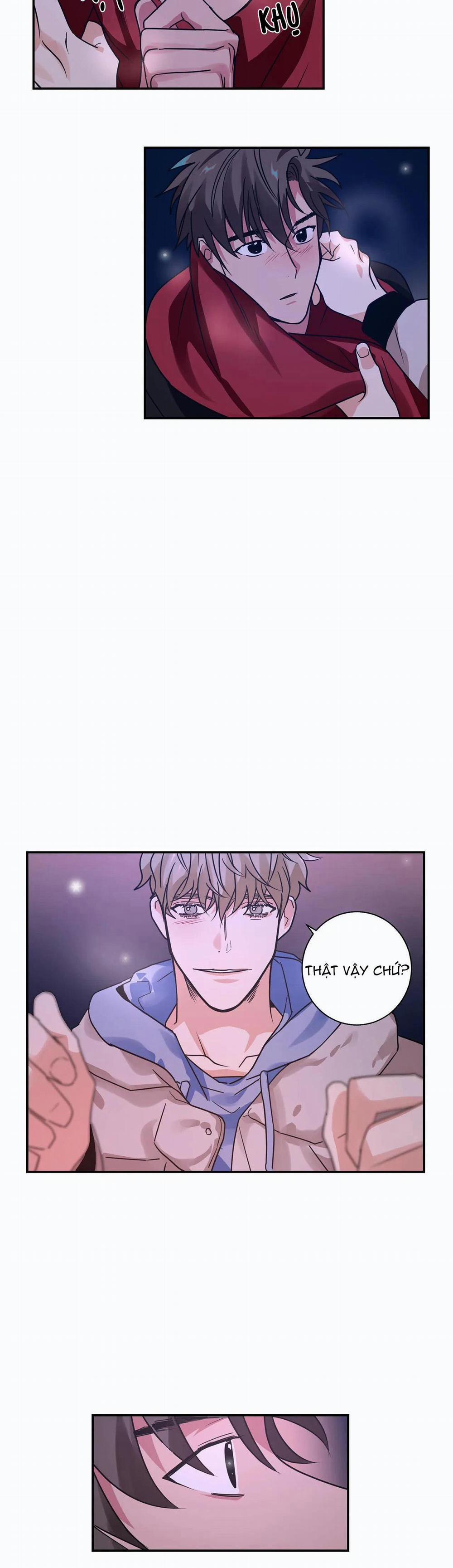 Mâu thuẫn và tương phản 8 trang 13