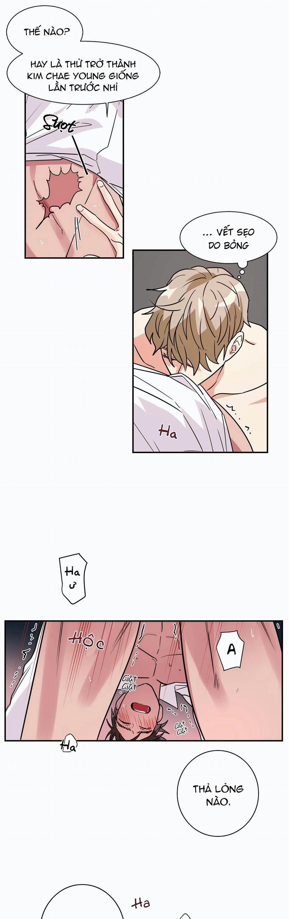 Mâu thuẫn và tương phản 9 trang 12