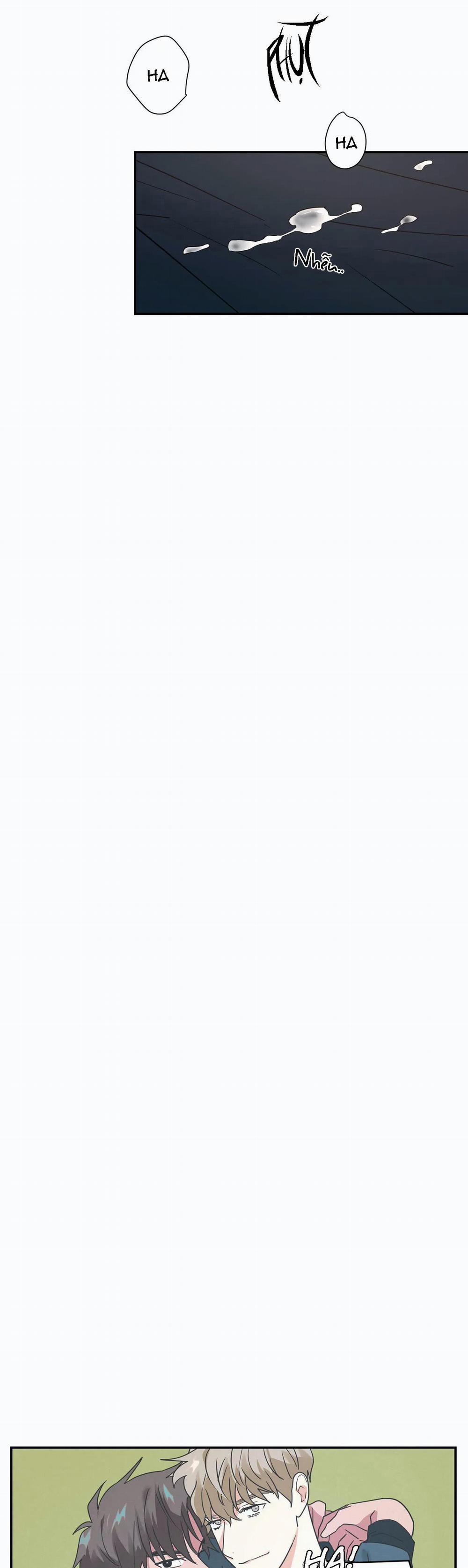 Mâu thuẫn và tương phản 9 trang 16