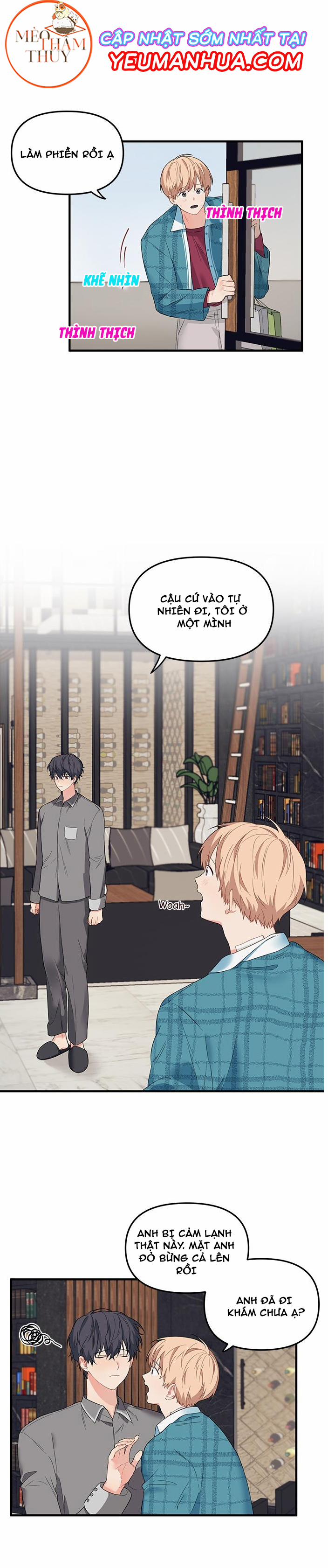 Máu Và Tình Yêu 15 trang 6