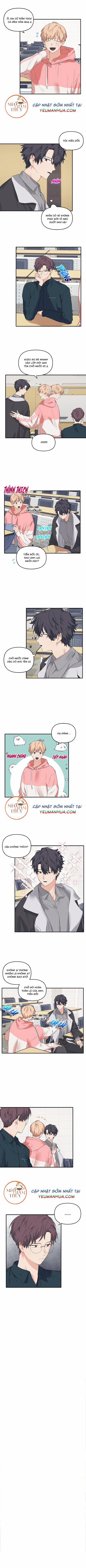 Máu Và Tình Yêu 18 trang 5