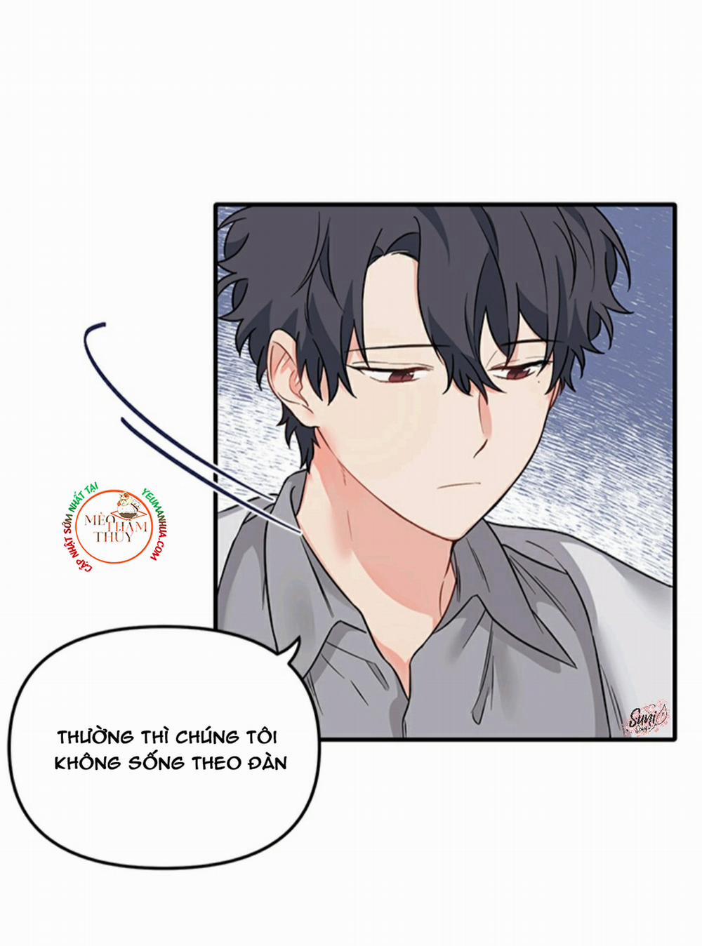 Máu Và Tình Yêu 19 trang 50