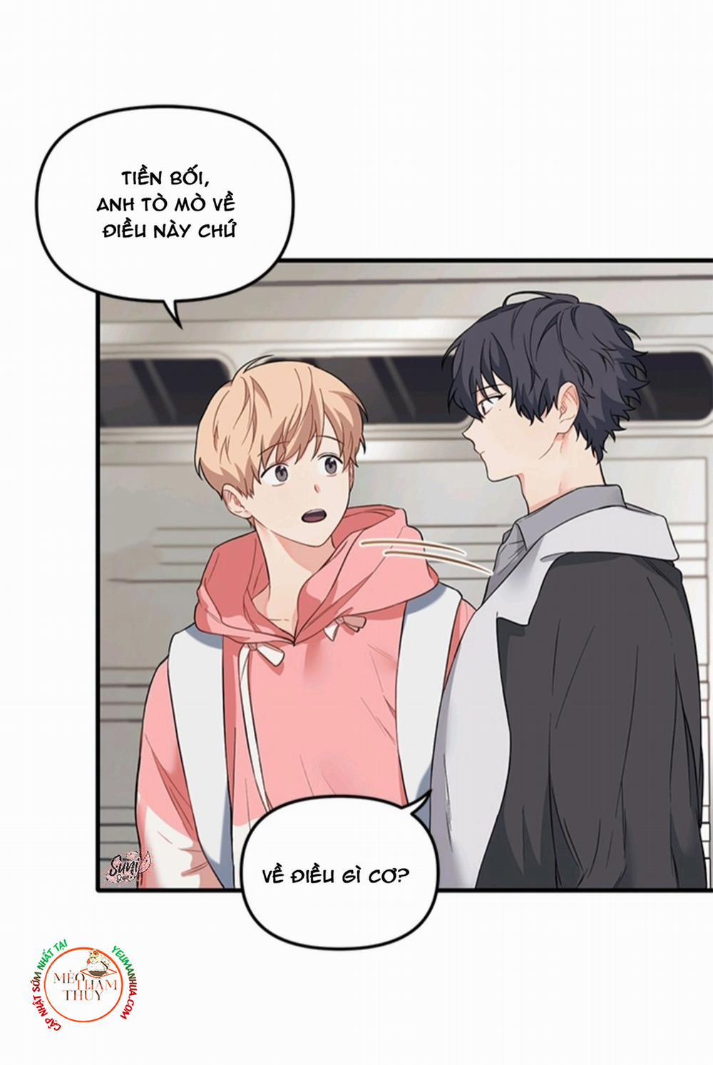 Máu Và Tình Yêu 19 trang 8