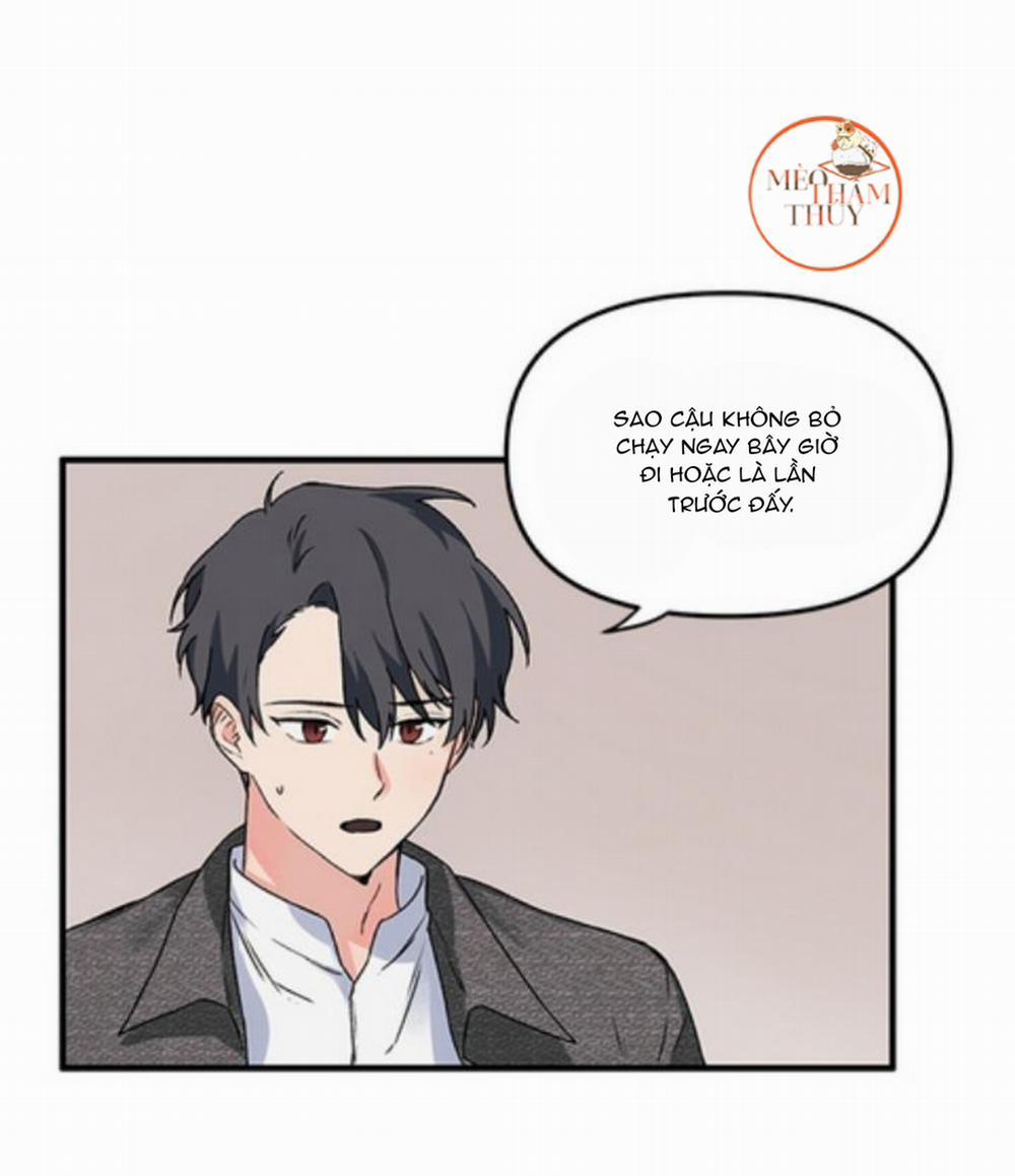 Máu Và Tình Yêu 2 trang 38