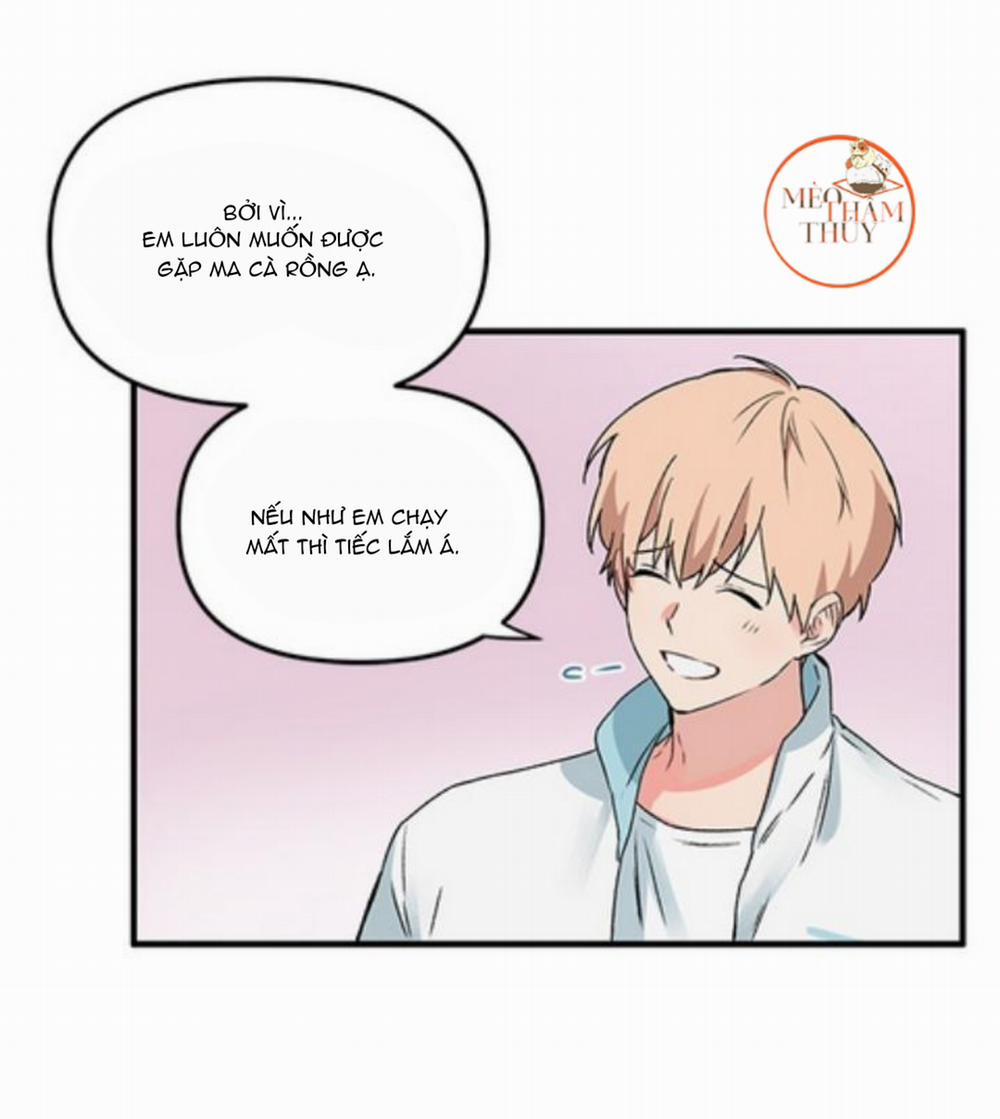 Máu Và Tình Yêu 2 trang 39