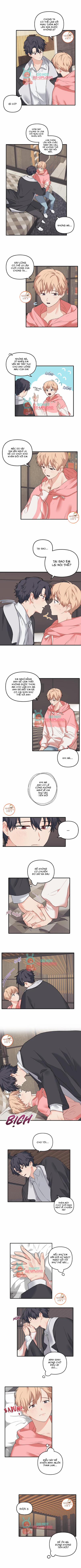 Máu Và Tình Yêu 24 trang 4