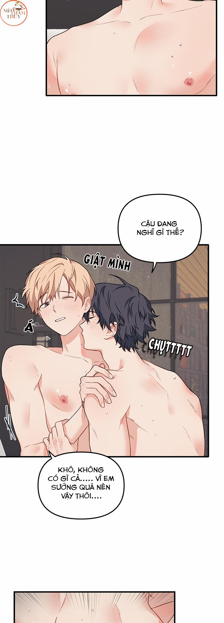 Máu Và Tình Yêu 25 trang 5