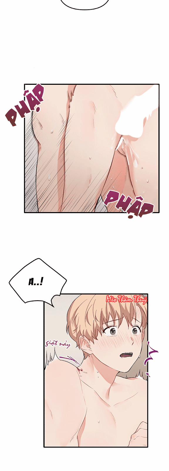 Máu Và Tình Yêu 27 trang 8