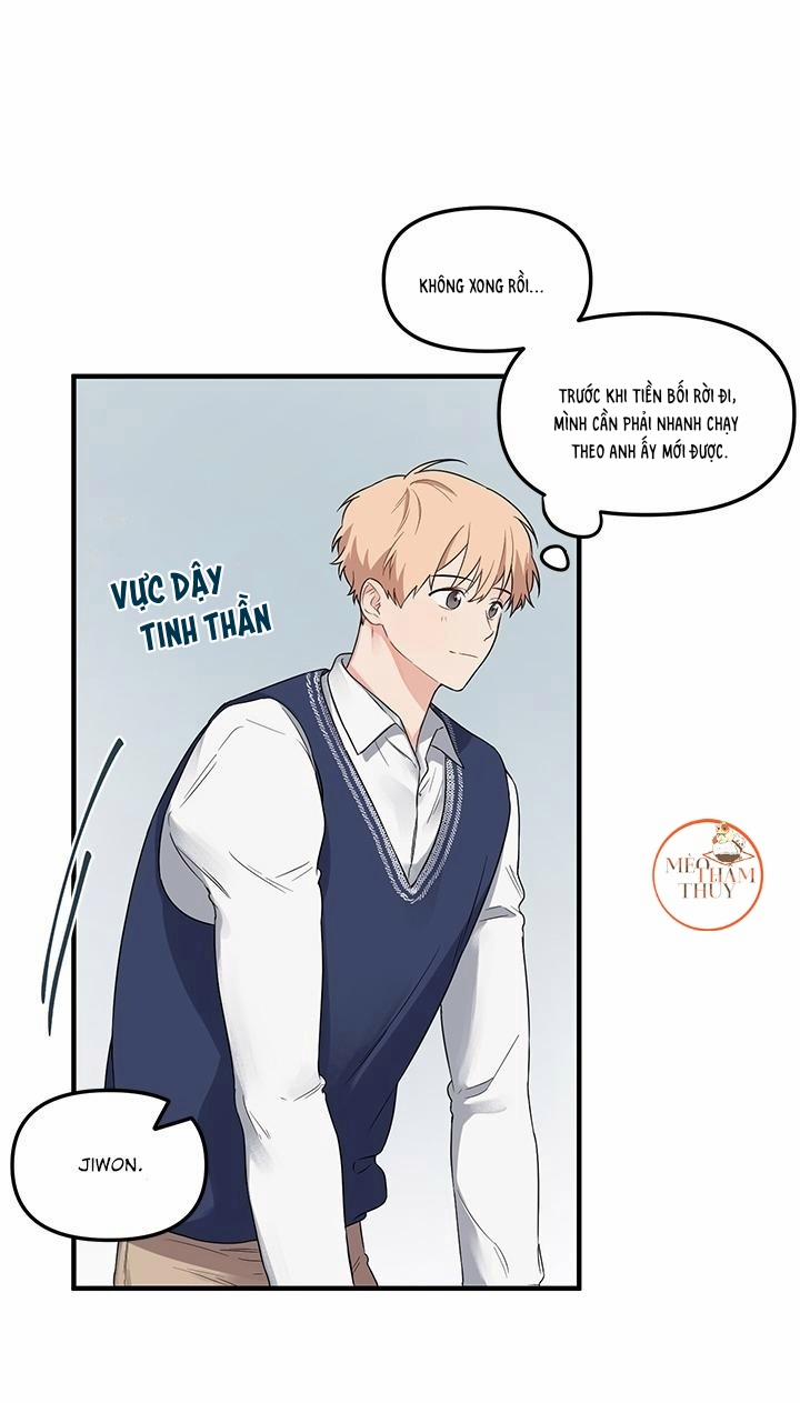 Máu Và Tình Yêu 4 trang 19