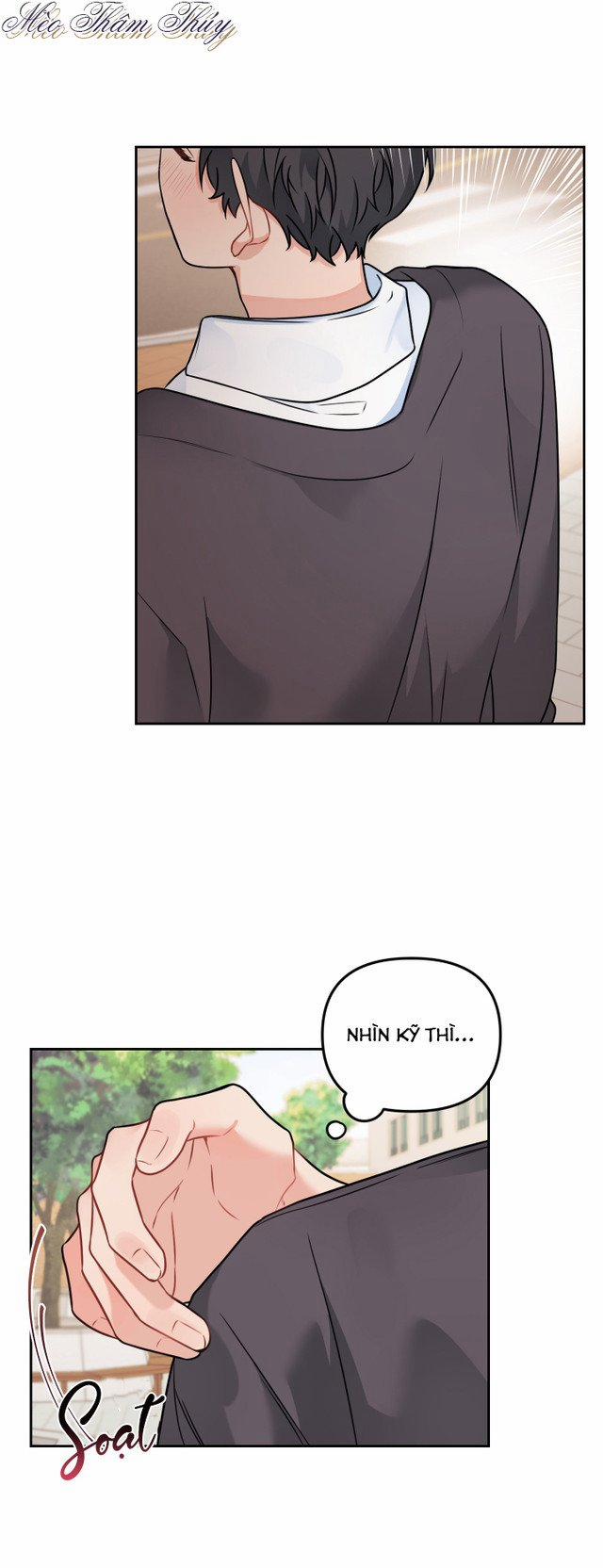 Máu Và Tình Yêu 47 trang 14