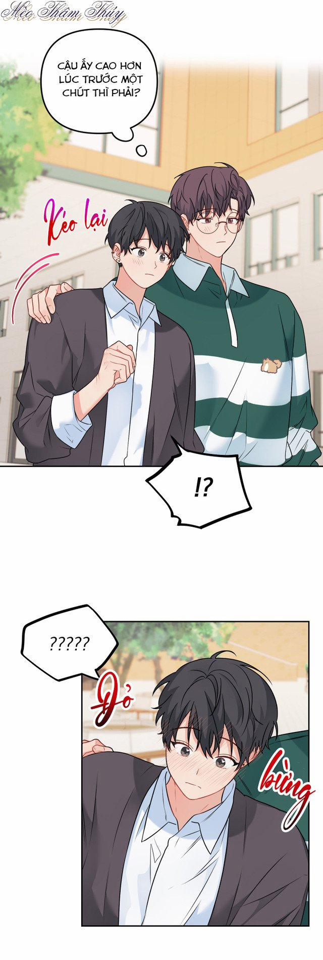 Máu Và Tình Yêu 47 trang 15