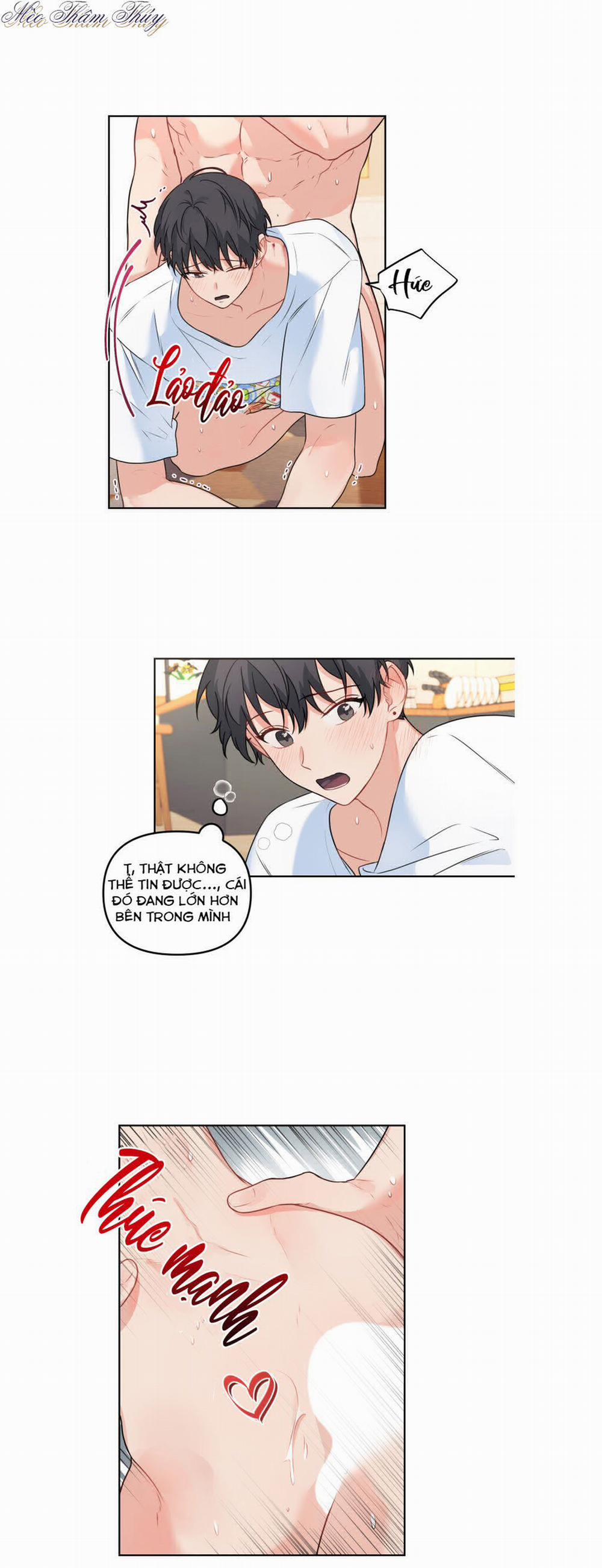 Máu Và Tình Yêu 50 (H+) trang 13