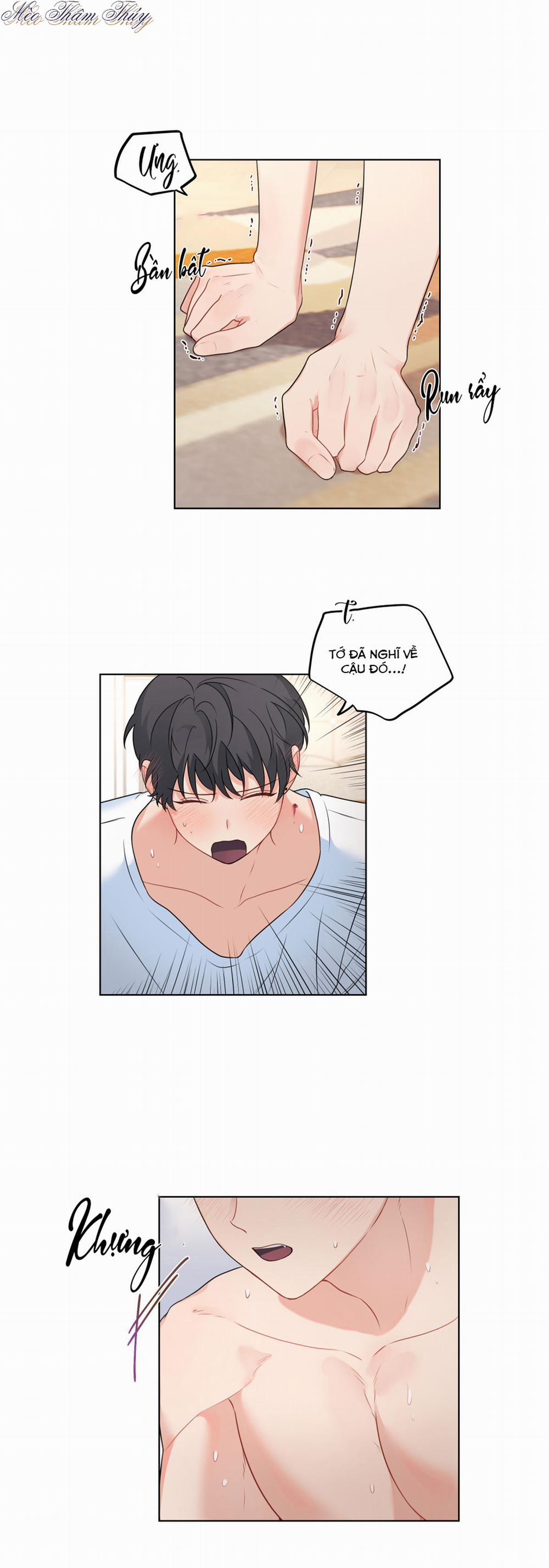 Máu Và Tình Yêu 50 trang 11