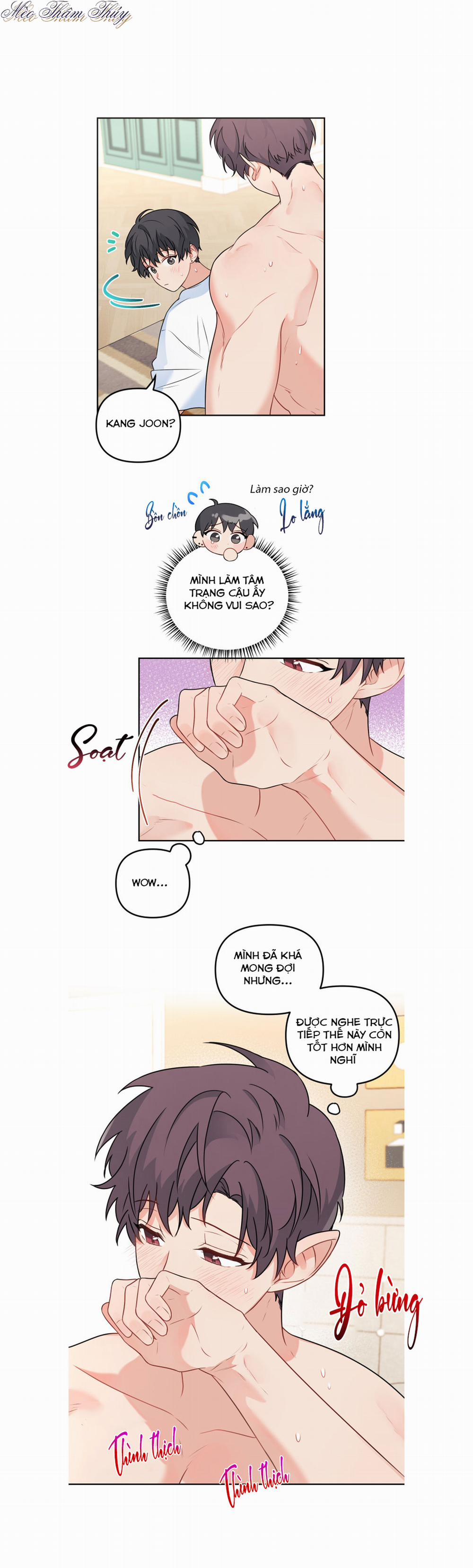 Máu Và Tình Yêu 50 trang 12